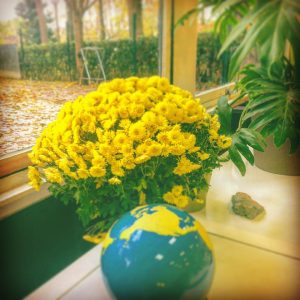 Le bouquet de la semaine 